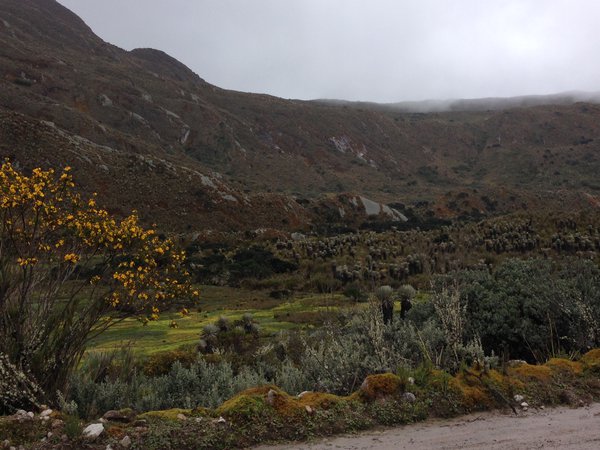 Colombian landscape that is hilly and green, taken from the road below